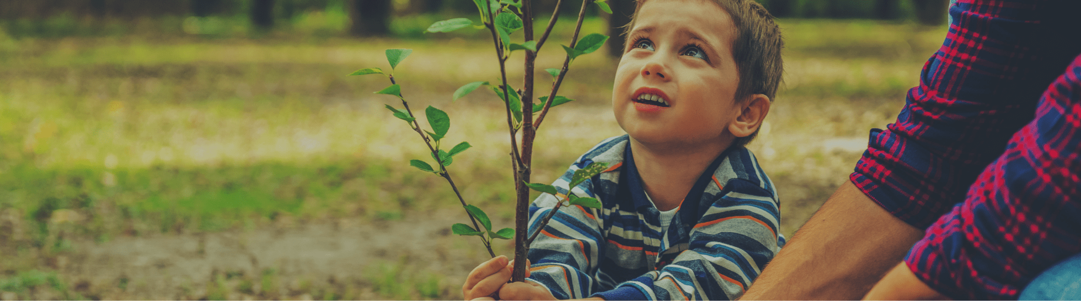 sustainability-main-header-min