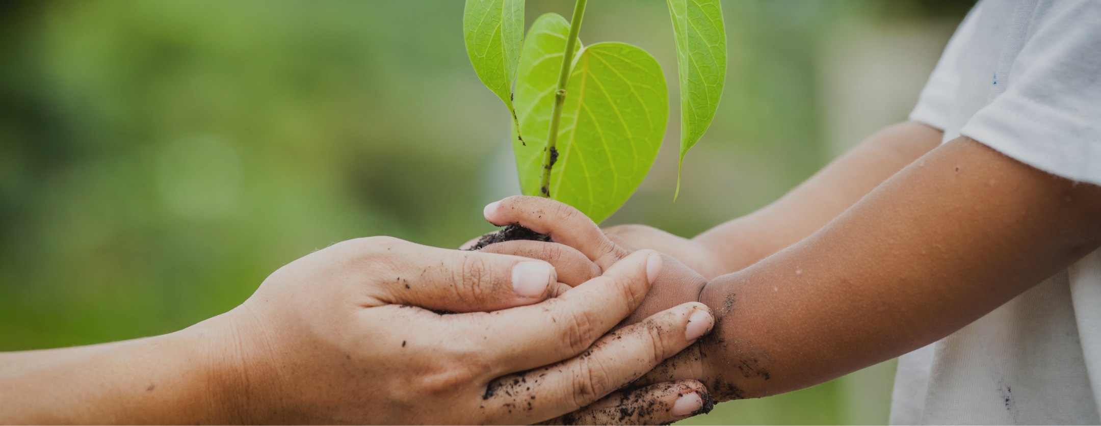 Sustainability-loan-header-update
