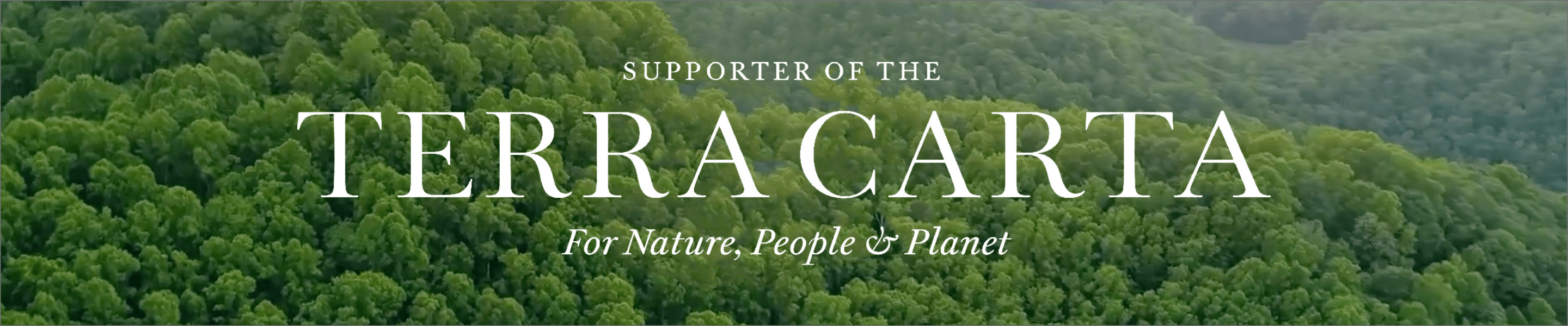 terra-carta-header