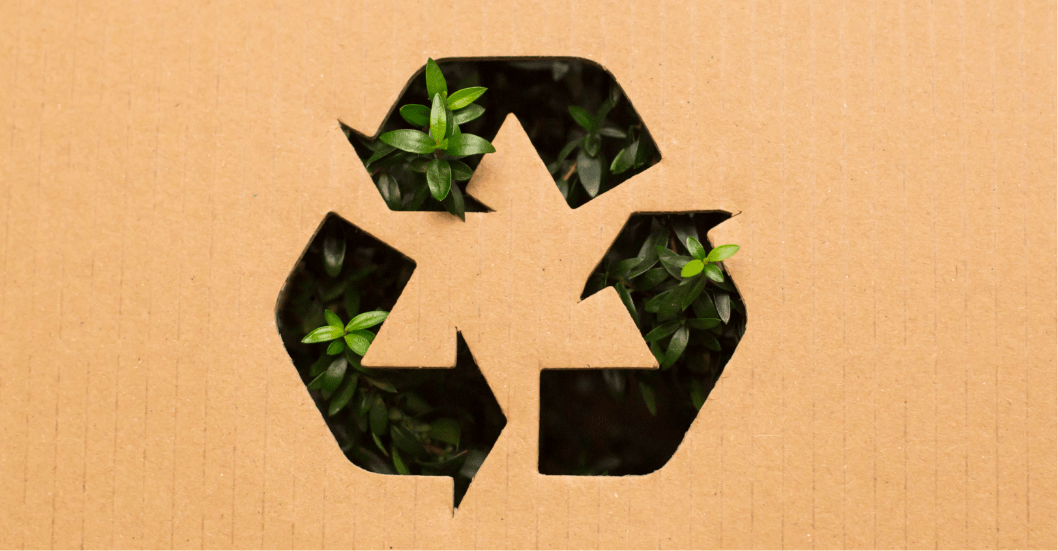_Sourcing Sustainably image-min